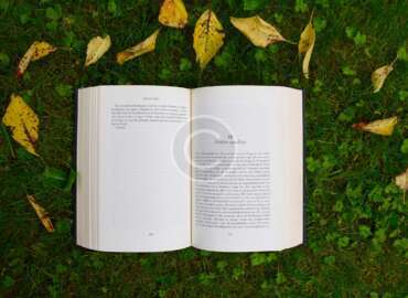 Home is where the Heart is