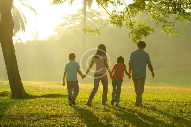 The King. Learning from Giants